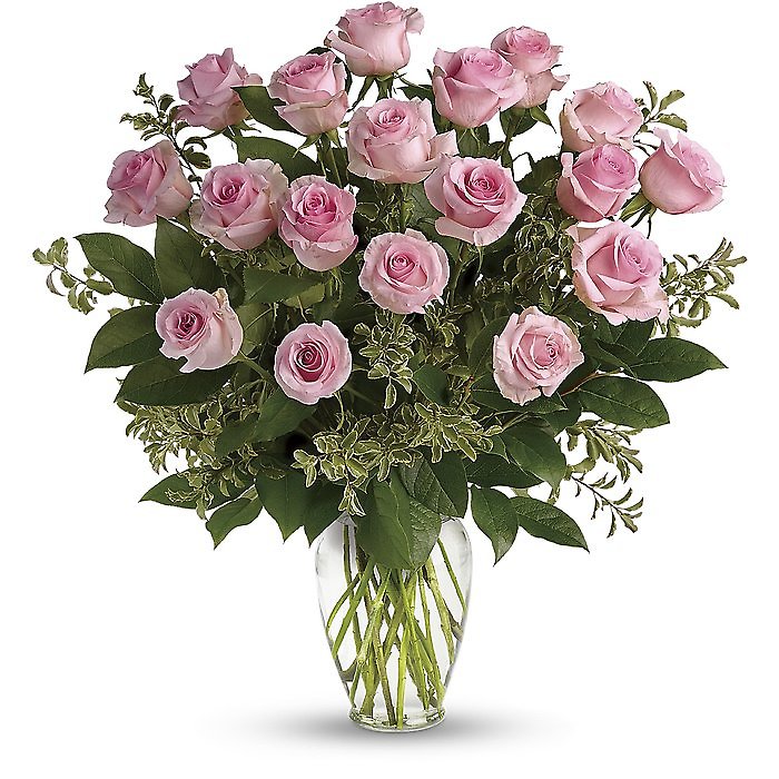 Pink Long Stem Roses