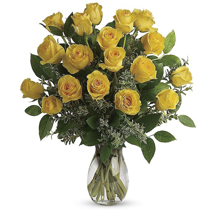 Yellow Long Stem Roses