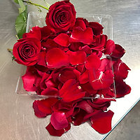 Silk- Table Arrangements