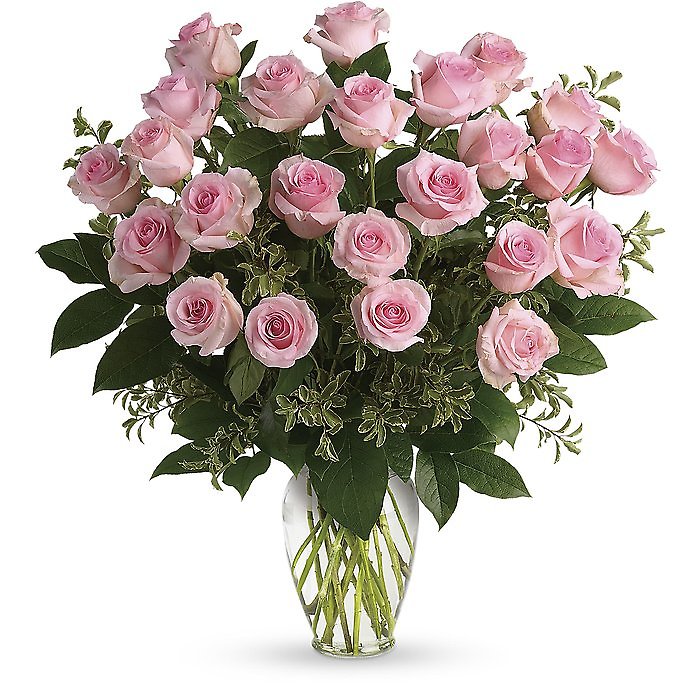 Pink Long Stem Roses