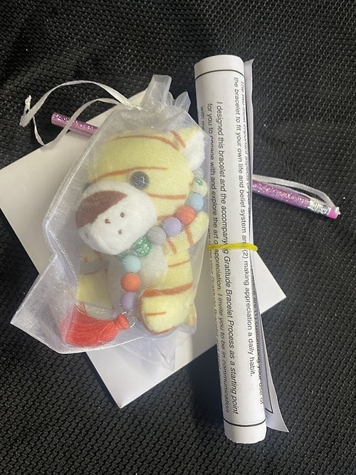 Child\'s Gratitude Kit