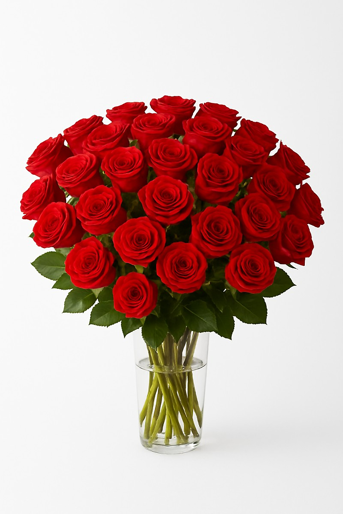 Long Stem Roses