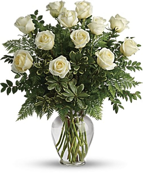 White Long Stem Roses