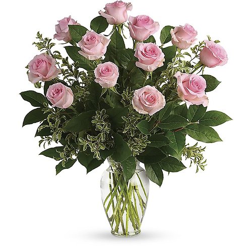 Pink Long Stem Roses